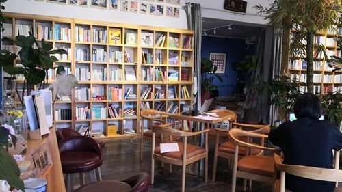 点亮乡村振兴的 文化灯塔 2020中国书店年度致敬之 年度乡村书店